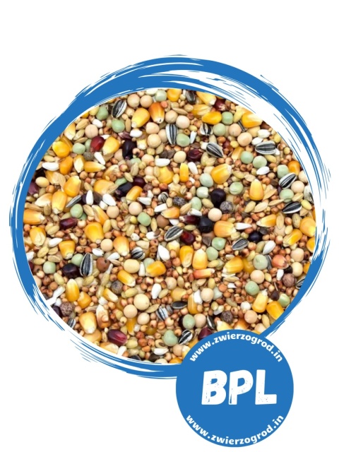 Kampol Bez Pszenicy Lider BP-L 25 kg – uniwersalna karma dla gołębi bez dodatku pszenicy