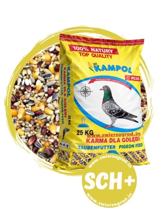 Kampol Super Champion Sport Plus SCH+ – wysokoenergetyczna karma dla gołębi pocztowych na loty konkursowe i długie dystanse