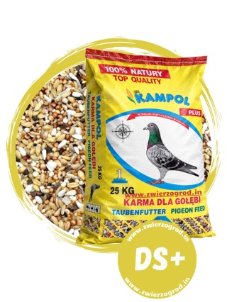 Kampol Dieta Specjal Plus DS+ 25 kg – specjalistyczna karma dla gołębi na sezon lotowy i regenerację