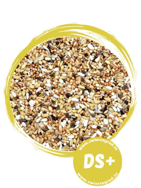 Kampol Dieta Specjal Plus DS+ 25 kg – specjalistyczna karma dla gołębi na sezon lotowy i regenerację