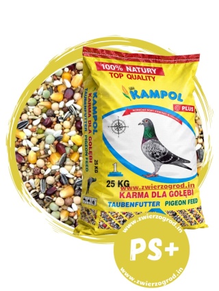 Kampol Karma dla Gołębi Pierzeniowa Super Plus PS+ 25 kg – wysokobiałkowa mieszanka na pierzenie i mocne upierzenie