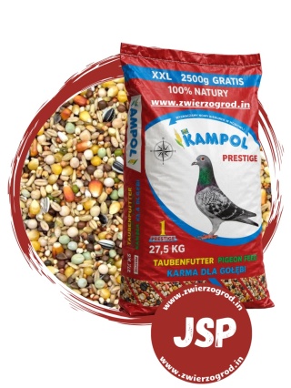 Kampol Junior Super Prestige JS-P 25 kg – karma dla młodych gołębi po odsadzeniu