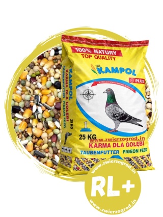 Kampol Karma dla Gołębi Rozpłodowo-Lotowa Plus RL+ – bogata mieszanka na lęgi, odchów młodych i sezon lotowy
