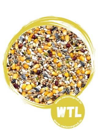 Kampol Karma dla Gołębi Wdowiec Top Lotowy WTL 25kg – wysokoenergetyczna mieszanka bez grochu dla gołębi pocztowych