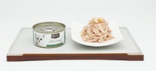 KIT CAT 80g TUNA & SHRIMP (tuńczyk z krewetkami)