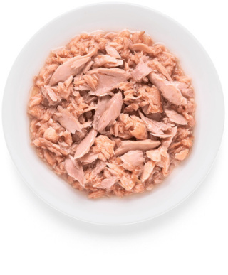 Grandorf Cat Tuna Fillet & Salmon Tuńczyk Łosoś 70g