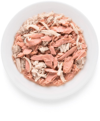 Grandorf Cat Tuna Fillet & Chicken Breast Tuńczyk Kurczak 70g