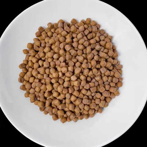 VET RESPONSE VETERINARY DIET RENAL 1,6 kg VET RESPONSE VETERINARY DIET RENAL 1,6 kg