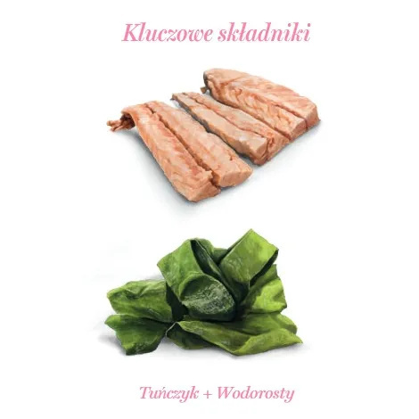 Amanova Cat Tuna & Seaweed - tuńczyk i wodorosty w galaretce puszka 70g