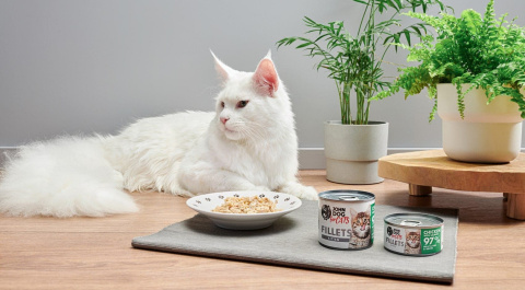 Karma mokra dla kociąt John Dog for Cats Filety Kurczak z łososiem 140g