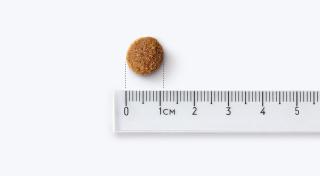 Karma sucha Berry Line Wołowina z krylem małe i średnie rasy 3kg