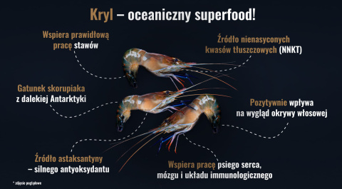 Karma sucha Berry Line Wołowina z krylem małe i średnie rasy 3kg Karma sucha Berry Line Wołowina z krylem małe i średnie rasy 3kg