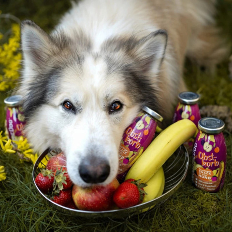 SmoothieDog - Obst - Owocowy Kosz 250 ml SmoothieDog - Obst - Owocowy Kosz 250 ml