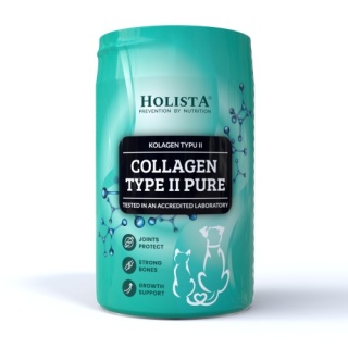 Holista Collagen Type II PURE 200g