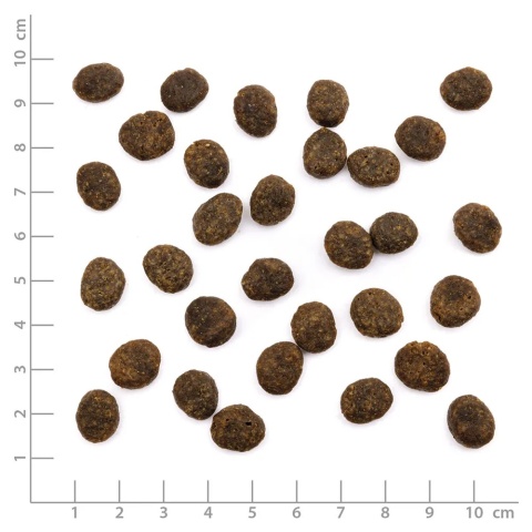 WILDES LAND CAT Forelle Lachs - pstrąg i łosoś z warzywami i ziołami (1,2kg) WILDES LAND CAT Forelle Lachs - pstrąg i łosoś z warzywami i ziołami (1,2kg)