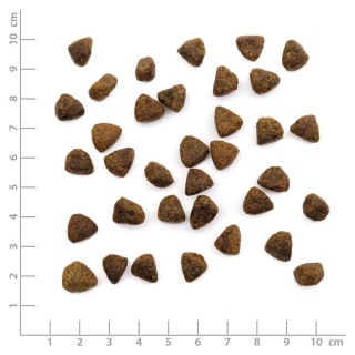WILDES LAND CAT Huhn sterilised - karma dla kastrowanych kotów (400g)