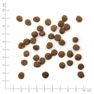 WILDES LAND CAT Junior Huhn - kurczak z warzywami i ziołami dla kociąt (1,2kg)