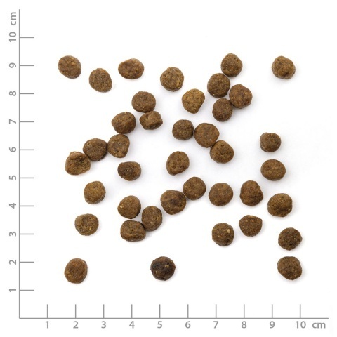 WILDES LAND CAT Junior Huhn - kurczak z warzywami i ziołami dla kociąt (1,2kg) WILDES LAND CAT Junior Huhn - kurczak z warzywami i ziołami dla kociąt (1,2kg)