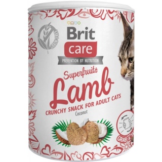 BRIT CARE Cat Superfruits Lamb 100g Delikatna Jagnięcina dla Kotów