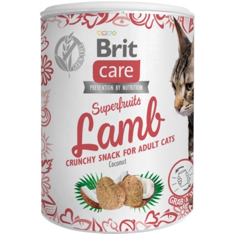 BRIT CARE Cat Superfruits Lamb 100g Delikatna Jagnięcina dla Kotów