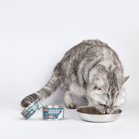 COMFY APPETIT PREMIUM STERILIZED TUŃCZYK KOT 85G