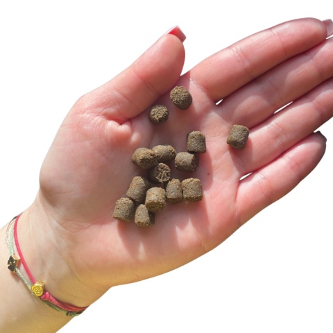 Farma Adult Tłoczona na Zimno Królik 2kg