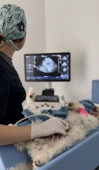 KONSULTACJA DIETETYCZNA I GASTROENTEROLOGICZNA