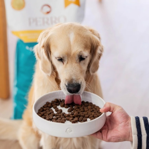 PERRO Kaczka z batatami dla dorosłych psów średnich i dużych ras 1kg