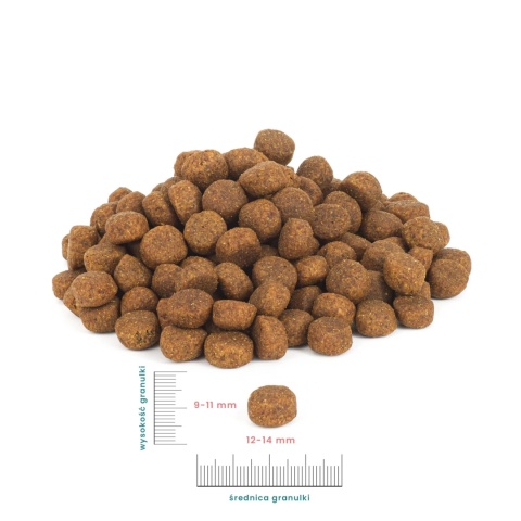 Perro karma JUNIOR Indyk z królikiem dla szczeniąt 1 kg