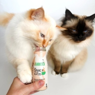 SMOOTHIE CAT Kaninchen - smoothie dla kota królik (150ml)