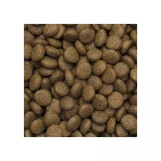 TropiDog Premium Adult Medium & Large Breeds Bogata w Wołowinę – karma sucha dla dorosłych psów średnich i dużych ras 12 kg