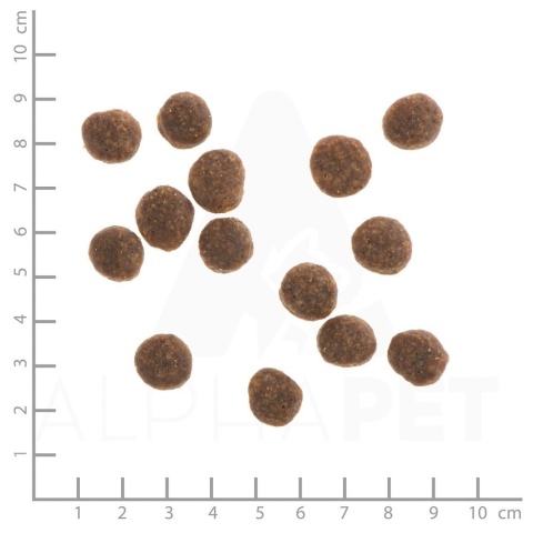 WILDES LAND DOG Kaninchen - królik z ziemniakami i ziołami 12kg WILDES LAND DOG Kaninchen - królik z ziemniakami i ziołami 12kg