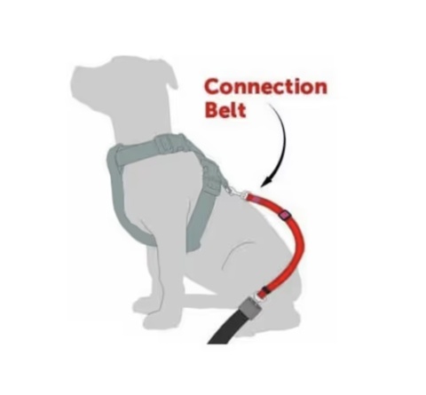 Flamingo Car Safety Belt Kura Black Nylon - smycz do samochodu dla psa, nylonowa, czarna - L