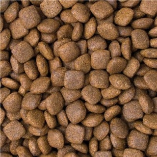 TropiDog Premium Karma sucha dla psów dorosłych z łososiem ADULT M&L RICH IN SALMON 12 KG