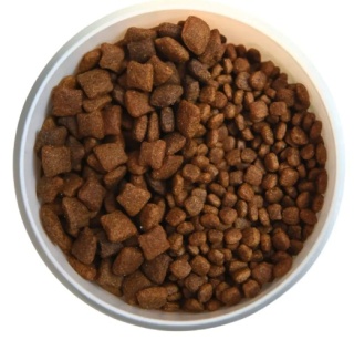 Wow Pets Karma sucha RYBA Z DYNIĄ XS/S dla dorosłych psów ras małych – 2 kg