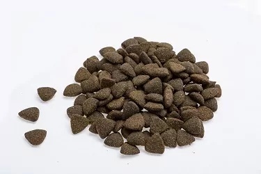COMFY WITALNOŚĆ 70 G – Przysmak dla psa - Naturalna energia i odporność Twojego psa!