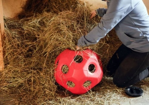 Piłka do zabawy dla konia HeuBoy Kerbl 40 cm – fioletowy