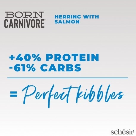 Schesir Born Carnivore – Karma sucha dla kotów dorosłych, Śledź i Łosoś, 255 g