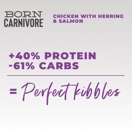 Schesir Born Carnivore – Karma sucha dla kotów dorosłych, Kurczak i Śledź z Łososiem, 255 g