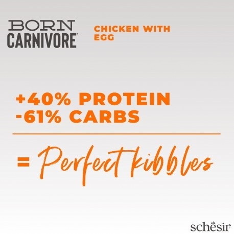 Schesir Born Carnivore – Karma sucha dla kotów dorosłych, Kurczak z jajkiem, 255 g