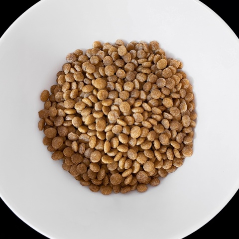 VET RESPONSE Veterinary Diet Hypoallergenic Cat 400 g – sucha karma hipoalergiczna dla kota (skóra & sierść, nietolerancje)