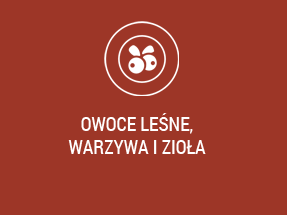 owoce leśne