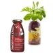 SmoothieDog Beef 250ml - smoothie dla psa, wołowina z warzywami